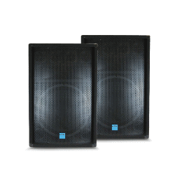 214714_12IN (x2) Speaker 214714_12IN (x2) Speaker